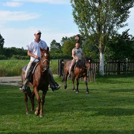 Pensjonat Rural Tourism Family Ravlic Muzilovcica Zewnętrze zdjęcie