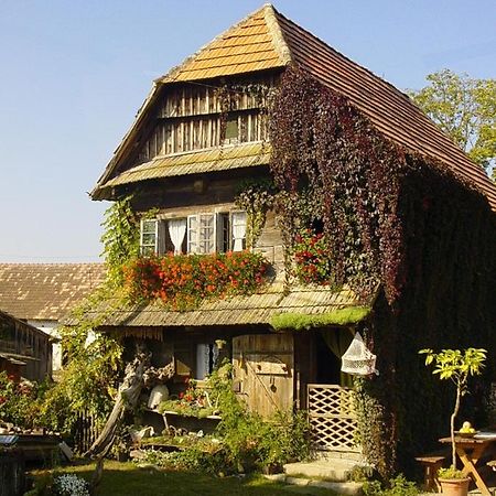 Pensjonat Rural Tourism Family Ravlic Muzilovcica Zewnętrze zdjęcie