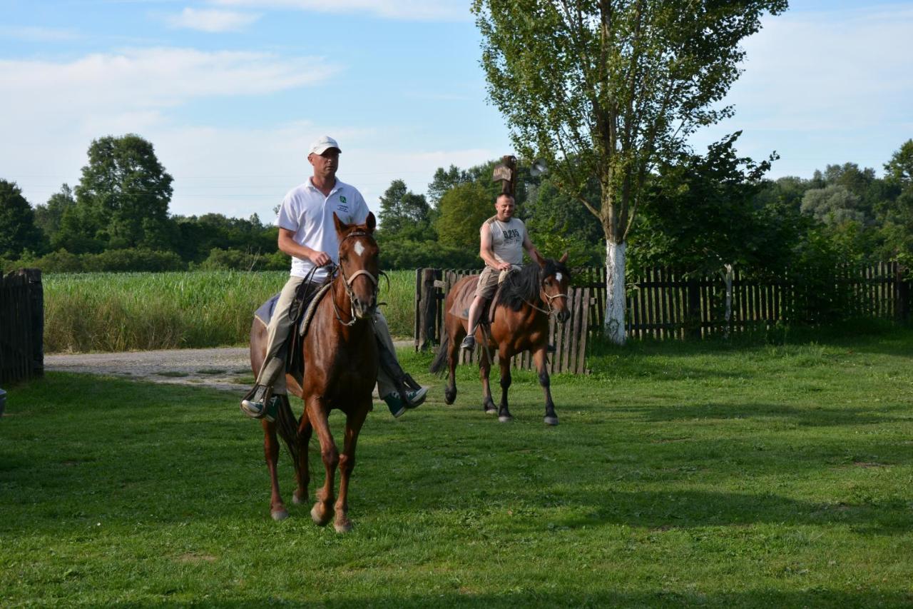 Pensjonat Rural Tourism Family Ravlic Muzilovcica Zewnętrze zdjęcie