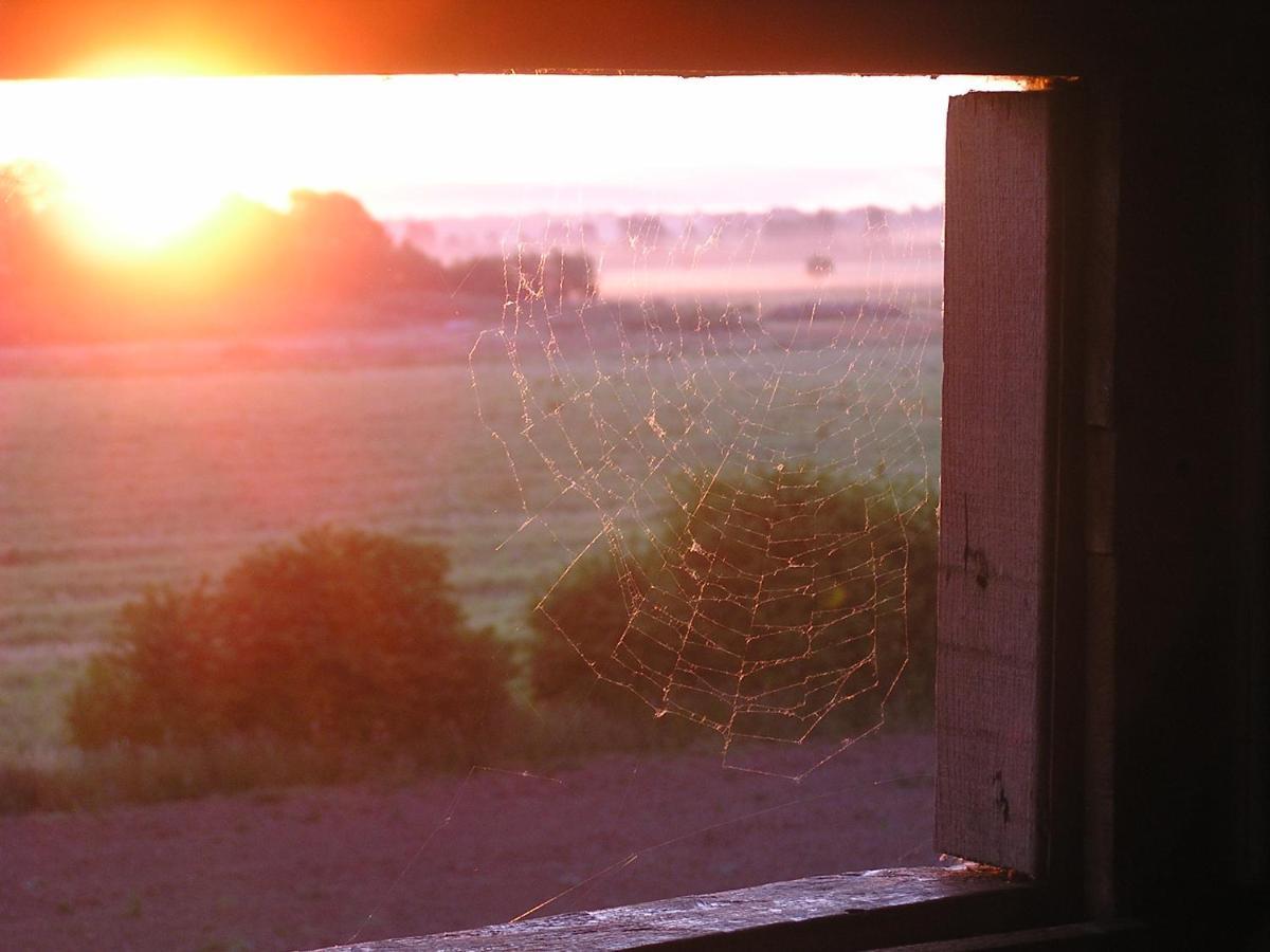 Pensjonat Rural Tourism Family Ravlic Muzilovcica Zewnętrze zdjęcie