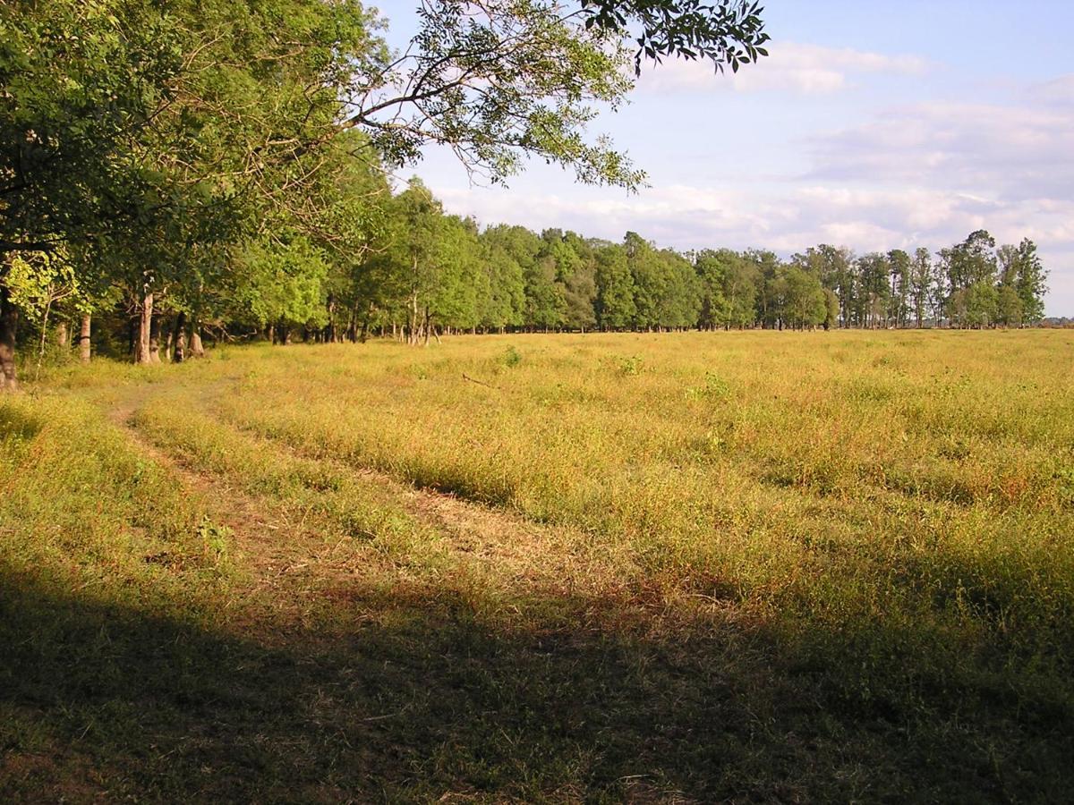 Pensjonat Rural Tourism Family Ravlic Muzilovcica Zewnętrze zdjęcie