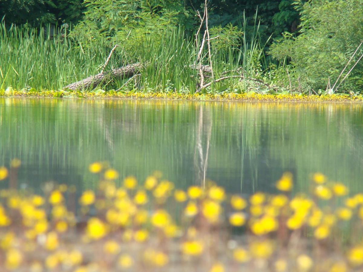 Pensjonat Rural Tourism Family Ravlic Muzilovcica Zewnętrze zdjęcie