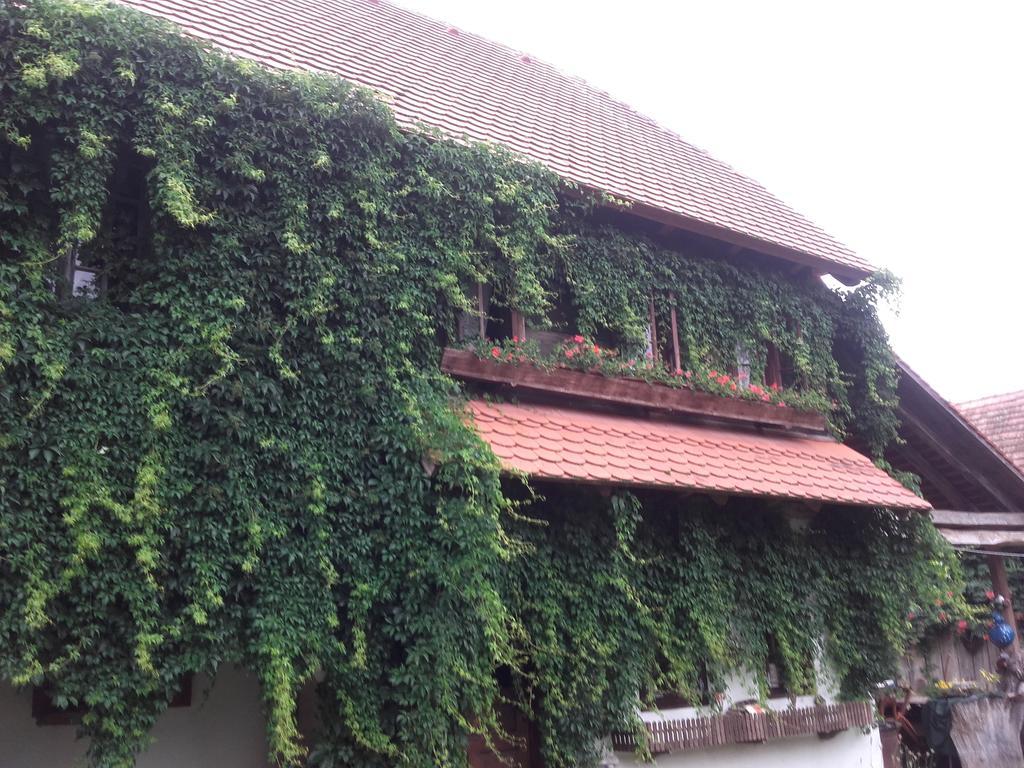 Pensjonat Rural Tourism Family Ravlic Muzilovcica Zewnętrze zdjęcie