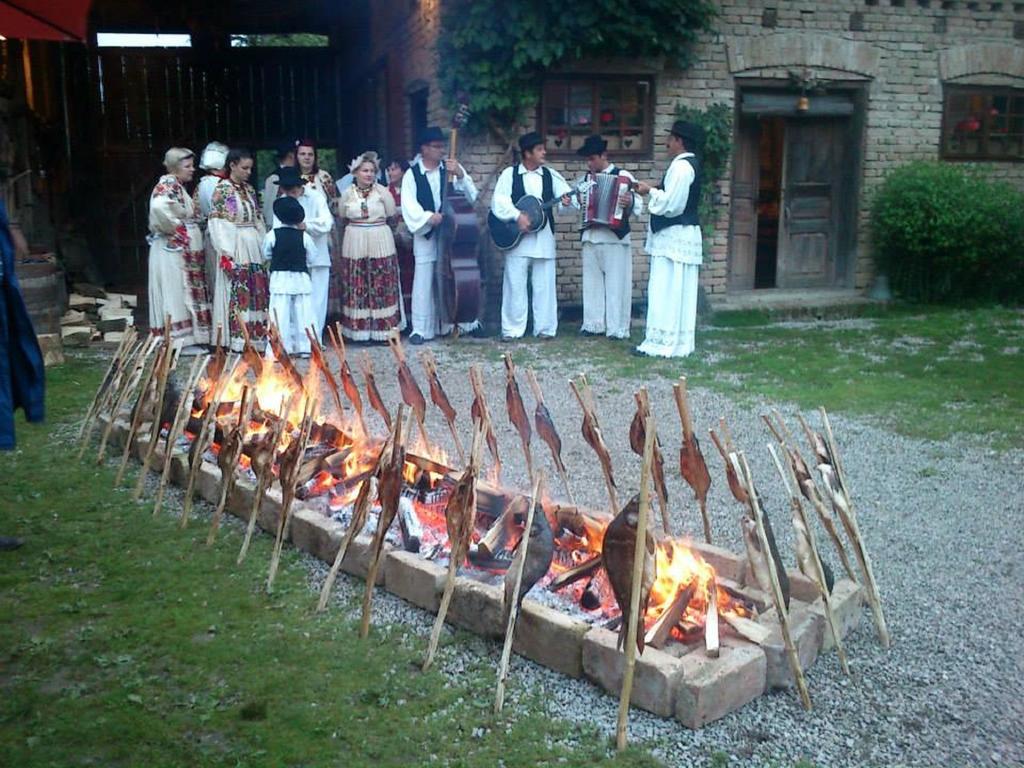 Pensjonat Rural Tourism Family Ravlic Muzilovcica Zewnętrze zdjęcie