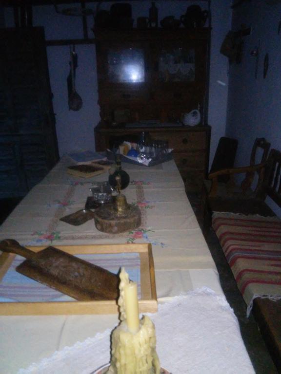 Pensjonat Rural Tourism Family Ravlic Muzilovcica Zewnętrze zdjęcie