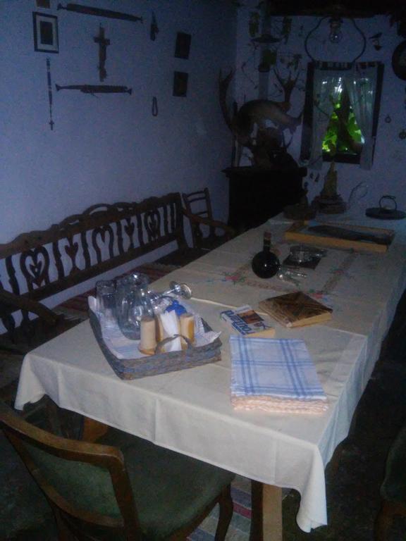 Pensjonat Rural Tourism Family Ravlic Muzilovcica Zewnętrze zdjęcie