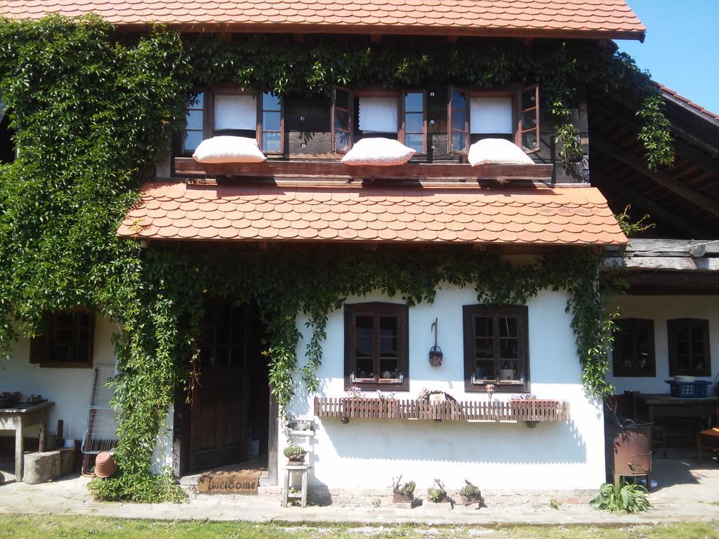Pensjonat Rural Tourism Family Ravlic Muzilovcica Zewnętrze zdjęcie
