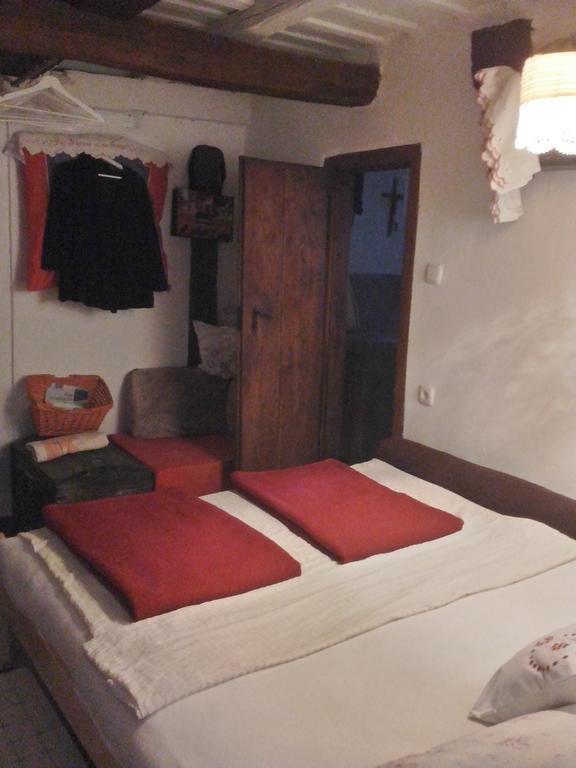 Pensjonat Rural Tourism Family Ravlic Muzilovcica Zewnętrze zdjęcie